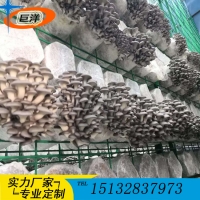 江西蘑菇養(yǎng)殖網格網架 撫州市定制各種平菇出菇架 食用菌網格