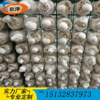 猴頭菇出菇網格 平菇出菇房網架 香菇鋼管層架 金針菇養(yǎng)殖架
