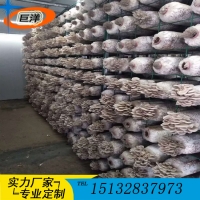江西省綠色蘑菇網(wǎng)片 現(xiàn)代化大棚出菇網(wǎng)格架 食用菌規(guī)?；B(yǎng)殖架