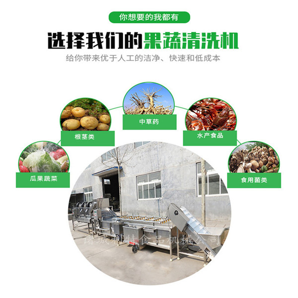 果蔬清洗機(jī) (4)