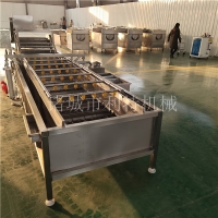 葉菜全自動(dòng)清洗機(jī) 蔬菜清洗機(jī)械設(shè)備 卷心菜高壓水清洗機(jī)