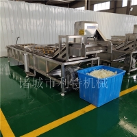 蔬菜全自動清洗生產(chǎn)線 香椿高壓氣泡清洗機(jī) 茄子噴淋清洗機(jī)