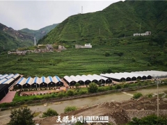 探秘！食用菌發(fā)展中的菌農(nóng)期待與產(chǎn)業(yè)鏈回應(yīng) ()