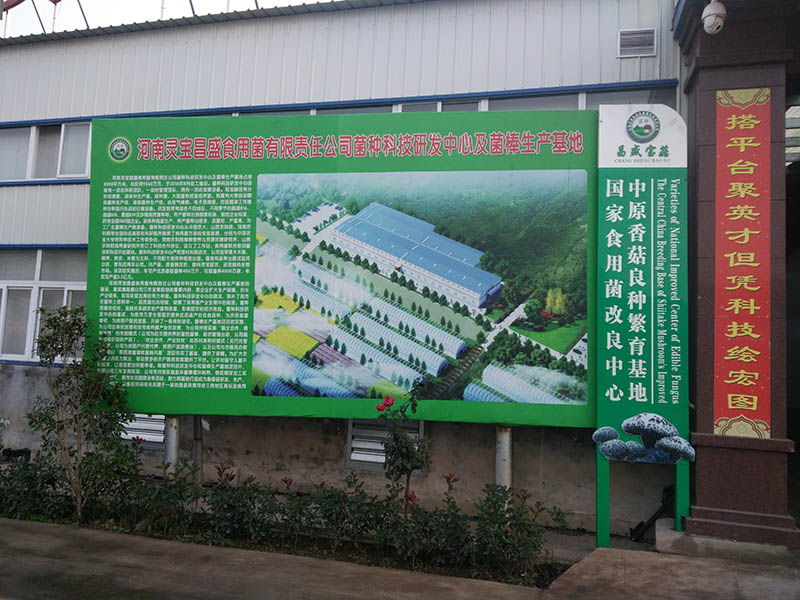 菌棒,種食用菌改良圖片小