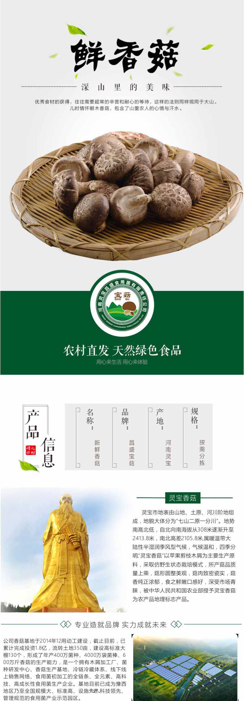香菇詳情_01