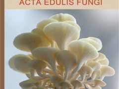祝賀！《食用菌學(xué)報》進(jìn)入農(nóng)林領(lǐng)域我國高質(zhì)量科技期刊公示名單