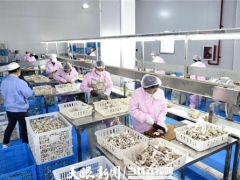 貴州省食用菌產(chǎn)業(yè)發(fā)展目標(biāo)增長(zhǎng)10%以上 ()