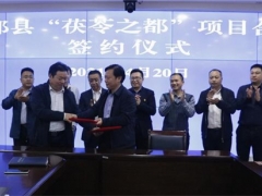 陜西：“茯苓之都”項(xiàng)目落戶三都 ()