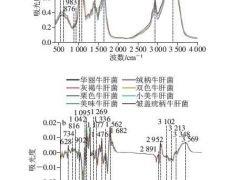 基于支持向量機對云南常見野生食用牛肝菌中紅外光譜的種類鑒別 ()