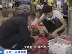又到吃菌季！云南野生菌每天上市300多噸，當(dāng)?shù)匦l(wèi)健委發(fā)預(yù)警：謹(jǐn)防中毒！哪些菌子不能吃？ ()