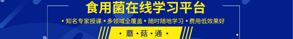 蘑菇世界，探無(wú)止境