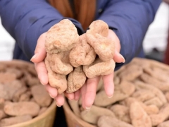 靈芝、天麻陸續(xù)解鎖“藥食同源” 對未來影響幾何？ ()