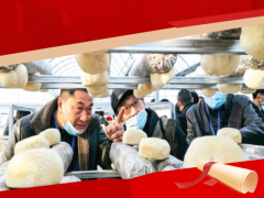 祝賀！“隨縣香菇種植工”上榜湖北省十大勞務品牌 ()