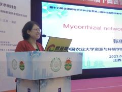 張俊伶：菌根共生體共生共棲，天作之合