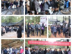 行業(yè)反響熱烈！第五期全國羊肚菌標(biāo)準(zhǔn)化規(guī)?；N植及風(fēng)險防控培訓(xùn)班在云南玉溪舉行