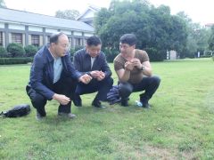 中國菌物學(xué)會(huì)理事長郭良棟一行深入井岡山農(nóng)業(yè)科技園調(diào)研 (4)
