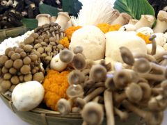 從民營(yíng)企業(yè)座談會(huì)看食用菌行業(yè)新機(jī)遇