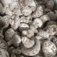 花菇干品自產(chǎn)自銷各種規(guī)格大量供應(yīng)